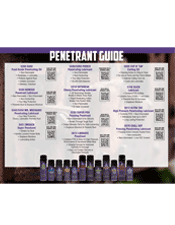 Brochure - Penetrant Guide